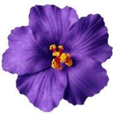 Vinchas de Flores