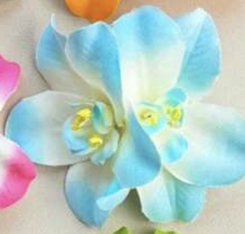 Vinchas Flores