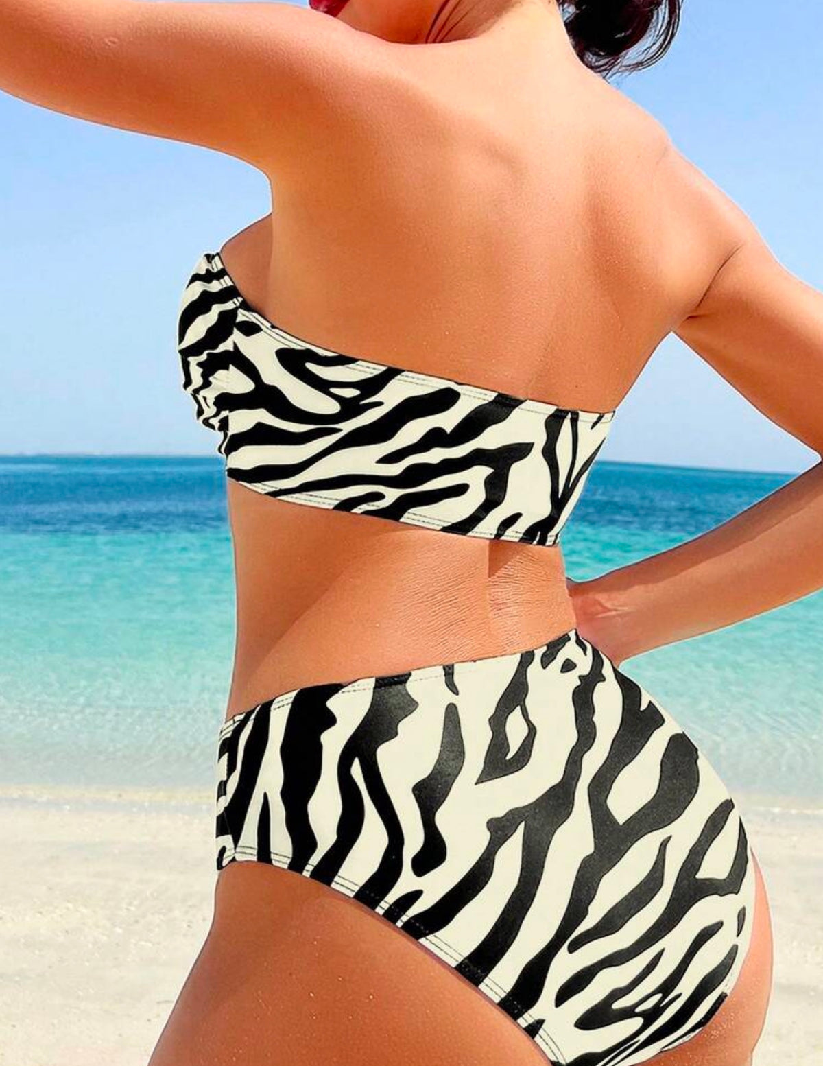 Bikini Zebra