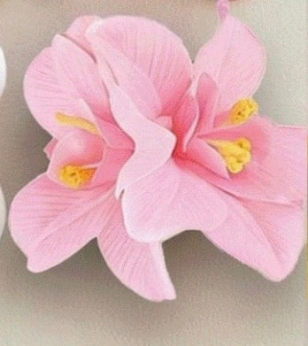 Vinchas Flores